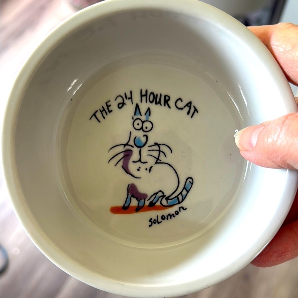 Cat Bowl - White with Colorful Design